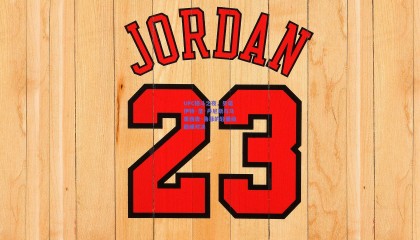 UFC格斗之夜，贝诺伊特·圣·丹尼斯与马里西奥·鲁菲的轻量级巅峰对决